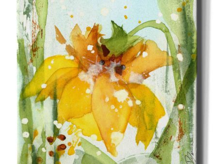 Daffodil  by Dawn Derman, Giclee Canvas Wall Art Supply