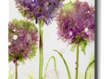 Alliums  by Dawn Derman, Giclee Canvas Wall Art For Discount