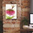 Dragonfly and Zinnia  by Dawn Derman, Giclee Canvas Wall Art Online now