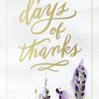 100 Days of Thanks: A Devotional Journal to Grow Your Gratitude (100 Daily Devotions) Online Sale