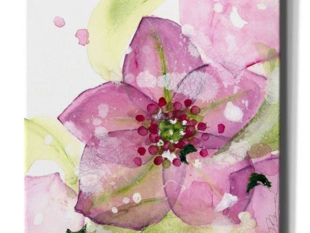 Pink Flower in the Snow  by Dawn Derman, Giclee Canvas Wall Art For Discount