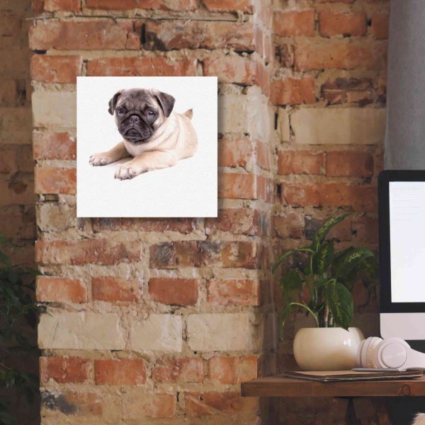 Cute Pug Puppy  by Edward M. Fielding, Giclee Canvas Wall Art on Sale