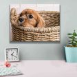 Puppy in a Laundry Basket  by Edward M. Fielding, Giclee Canvas Wall Art Cheap