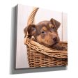 Puppy in a Basket  by Edward M. Fielding, Giclee Canvas Wall Art Online now