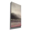 After the Storm I  by Chris Paschke, Canvas Wall Art Online