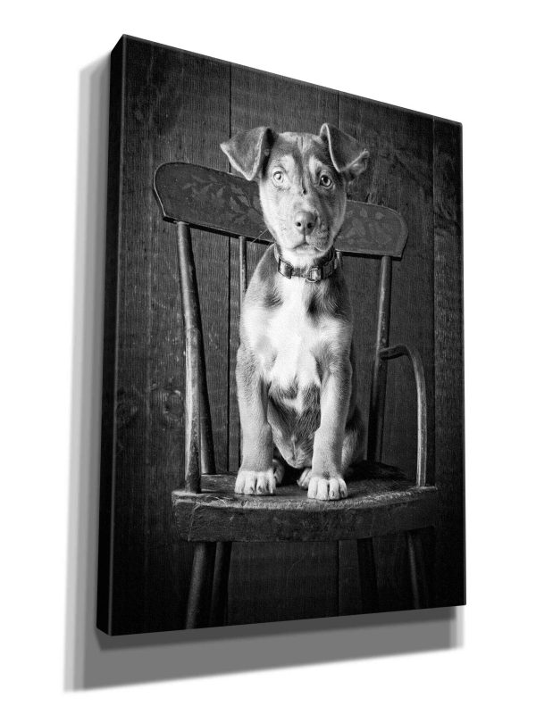 Mutt Black & White  by Edward M. Fielding, Giclee Canvas Wall Art Online now