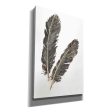 Gold Feathers IV  by Chris Paschke, Canvas Wall Art Discount