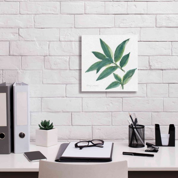 Bay Leaf  by Chris Paschke, Canvas Wall Art Hot on Sale