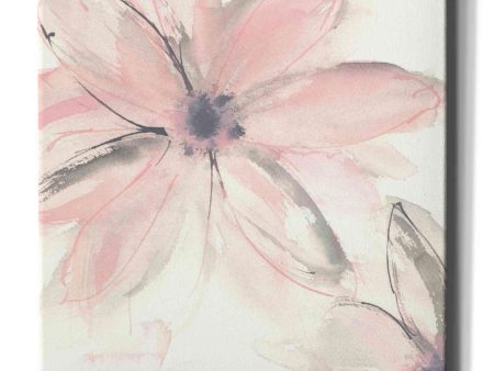 Blush Clematis II  by Chris Paschke, Giclee Canvas Wall Art Sale