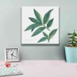 Bay Leaf  by Chris Paschke, Canvas Wall Art Hot on Sale