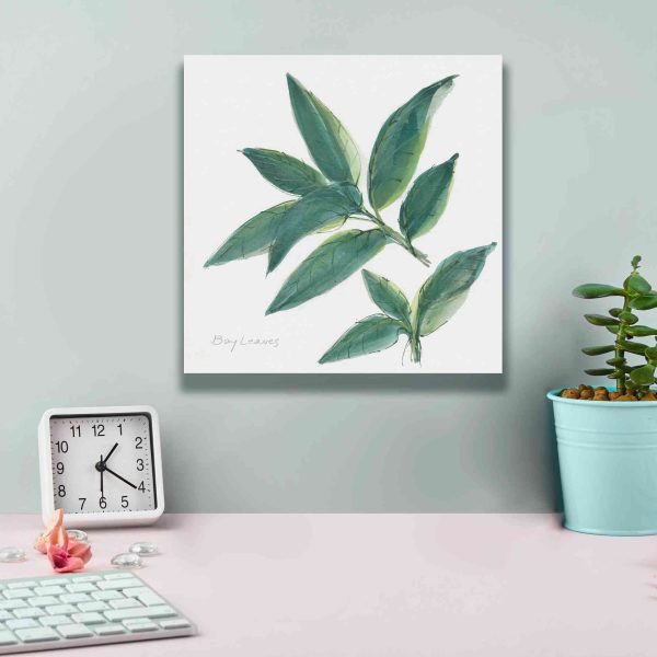 Bay Leaf  by Chris Paschke, Canvas Wall Art Hot on Sale