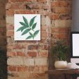 Bay Leaf  by Chris Paschke, Canvas Wall Art Hot on Sale